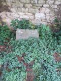 image of grave number 461716